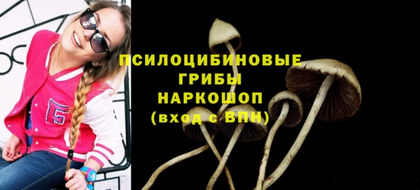 наркотики Богданович