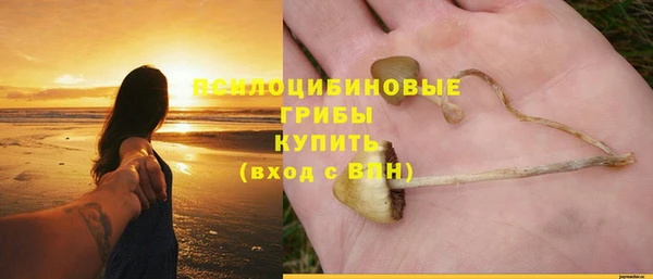 скорость Богородск